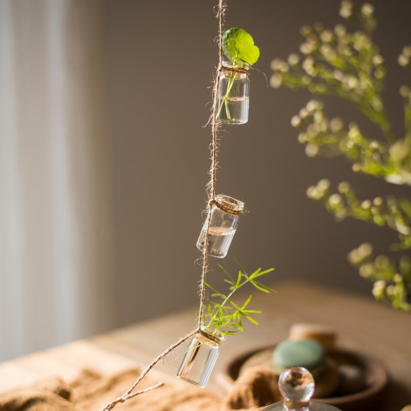 August Grove® Frazee Rustic Rope Glass Hanging Planter & Reviews Wayfair